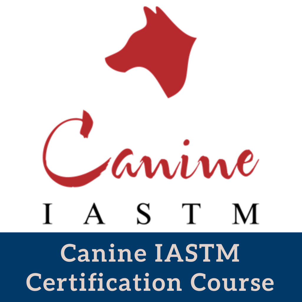 Canine IASTM Online Certification Course