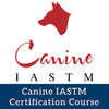 Canine IASTM Online Certification Course